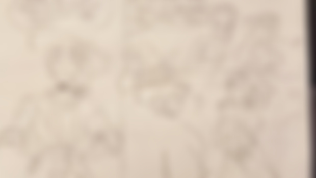 six pages!!!! of thumbnails