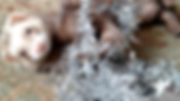 Patreon Lunch Break + HUGE photo dump!