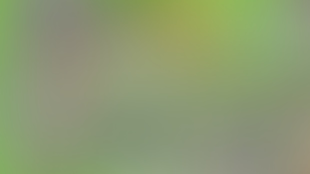 v 0.25 sneak peek