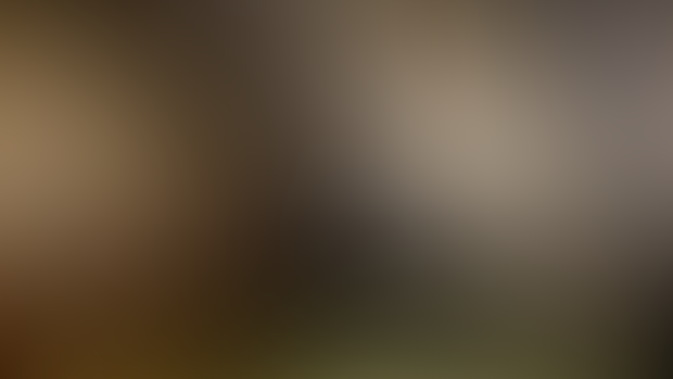 Keeping Warm with Khajiit (1080p Download)