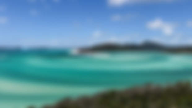Daily Drawing Club: Week 1 - Australia