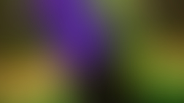 Green and Purple 