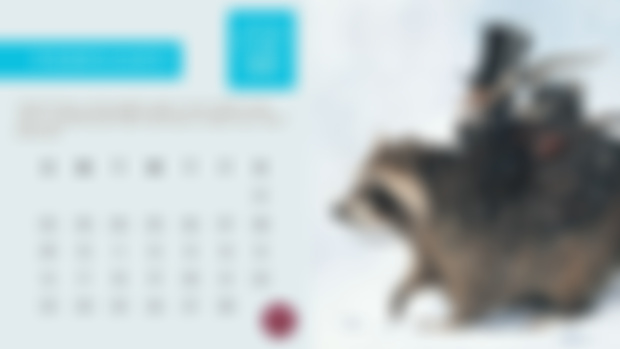 Fairy Monthly Calendar + discount - February 2025