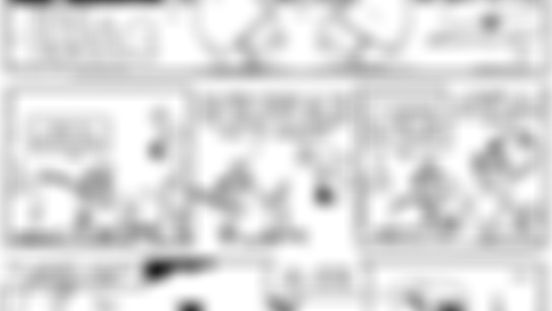 TUNDRA STRIPS 2-10 to 2-16