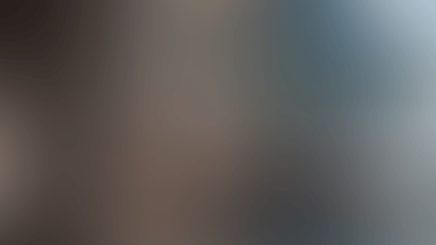 [VR Video] Black Cat x Futa Titjob