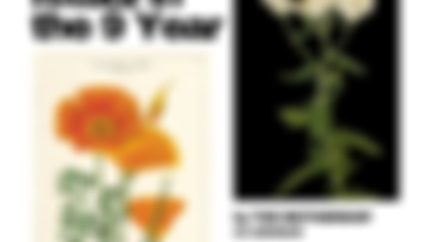 Herbs & Ritual in the 9 Year 