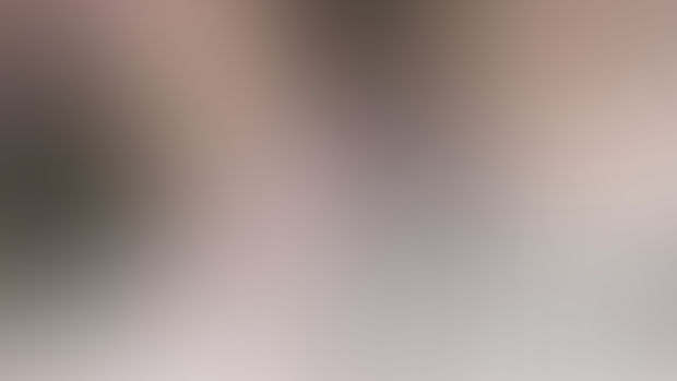 Overtime with Miyabi | Scene Data