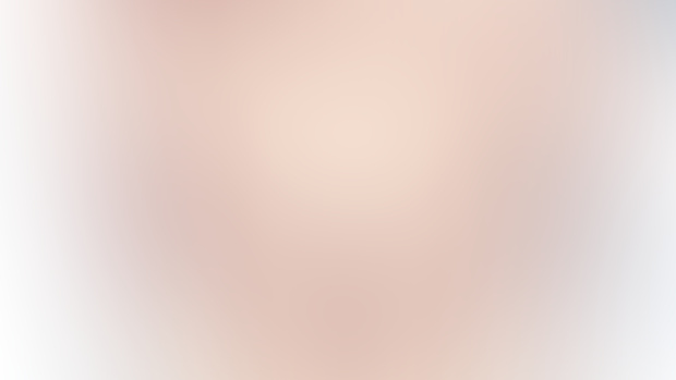 #1chan Body Pillow  
