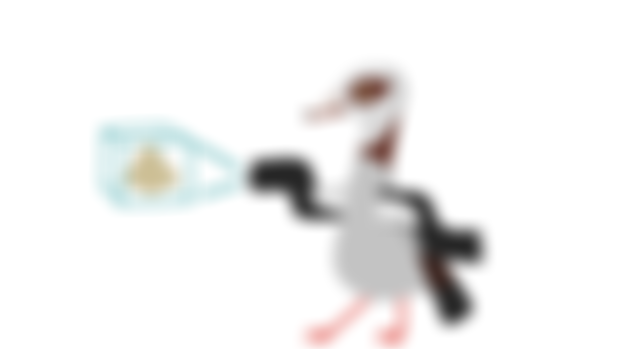 Egyptian Goose (guidebook)