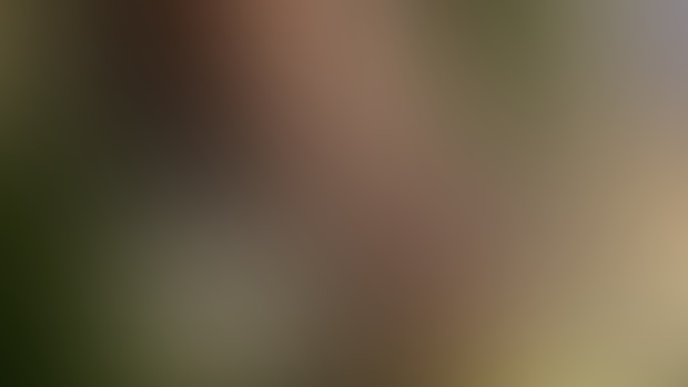 beautiful New Year's nude photo