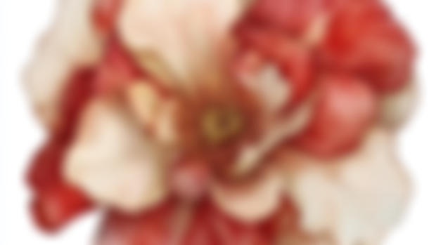 Weekly images bundle "Watercolor Peonies" now is available for download