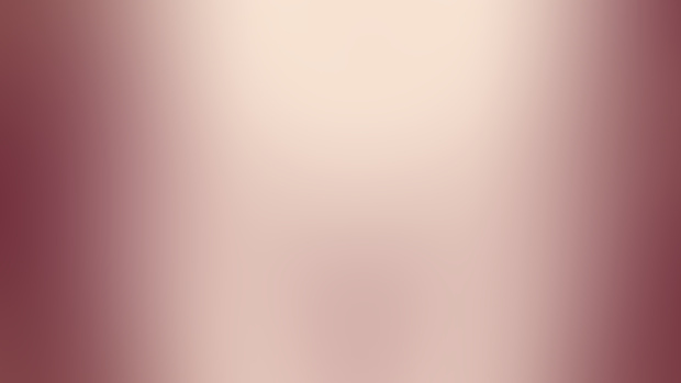 #4chan Body Pillow  