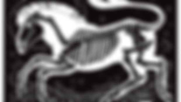Wild One - January Exclusive Illustration