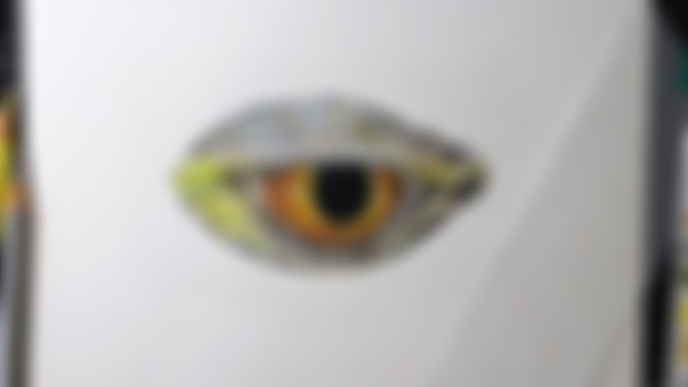 Iguana Eye Work In Progress