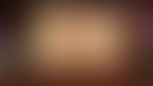 Progress Report | 01/27/2025
