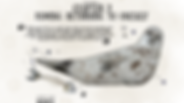 Chapter 9 Sealskin Soulskin