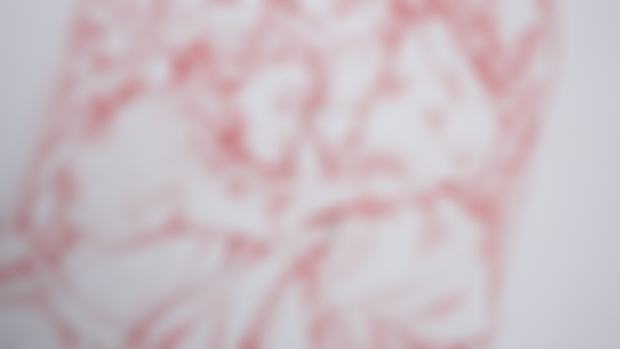 PICTURES | Red Sisters ♥️ + close-ups & reference
