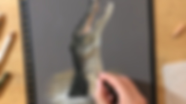 Some more wildlife - Sneak peek