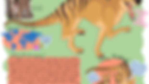 Freak of the Week: Thylacine! 