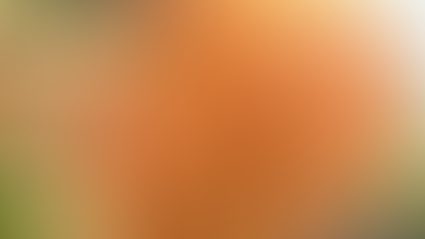 Patreon monthly January 2025 - ALTS