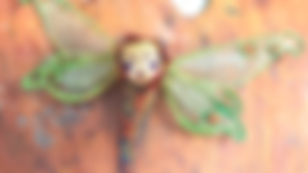 Moth