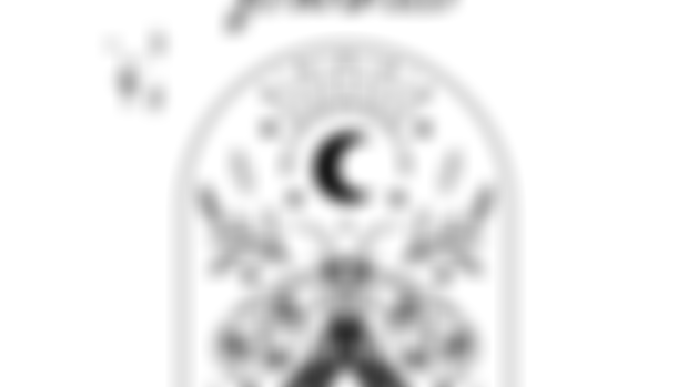 Aquarius Follow the Moon Journal