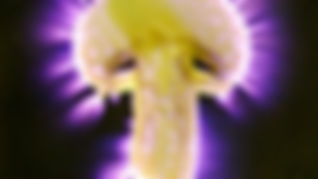 Kirlian Photography.