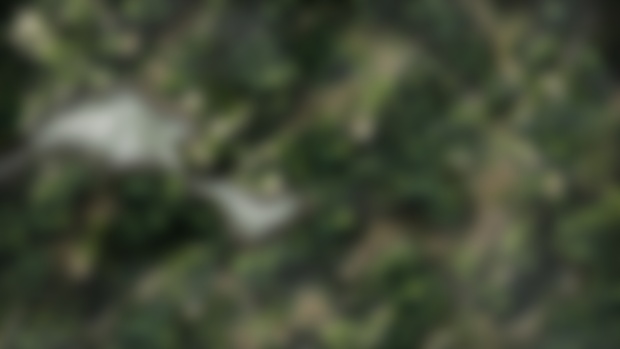 Exotic Jungle 60x40 Battlemap | VTT and PDF