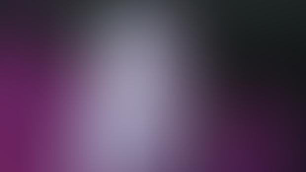 Spider Gwen Short January 2025