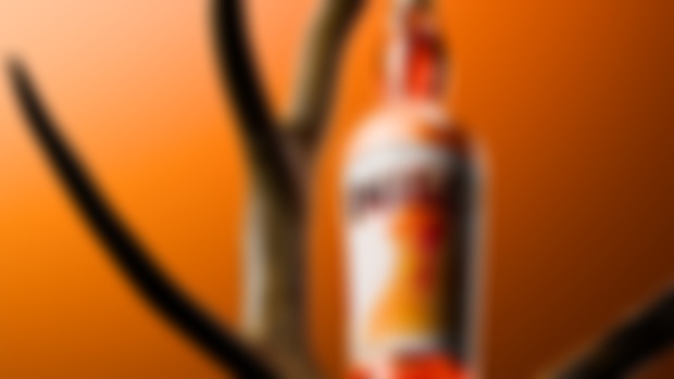 Project File: Week 2