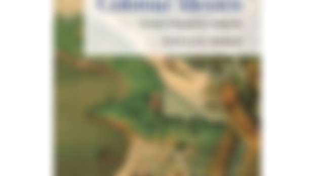 PDF Book: "Asian Slaves In Colonial Mexico, From Chinos To Indians"