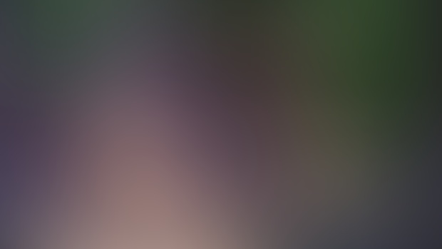 Exclusive animations release!