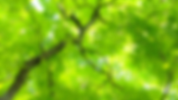 Bonus! January Exclusive: Botany, The Science of Plant Life (Part 1)