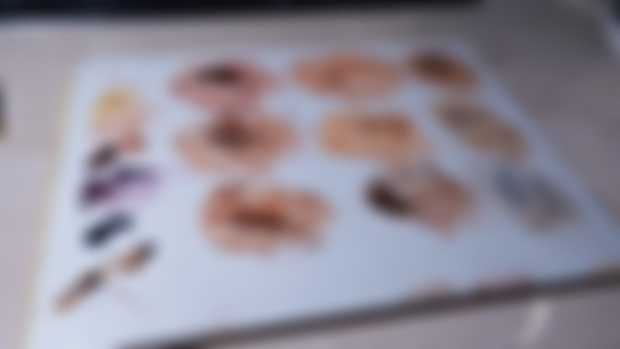 Warm, medium deep skin tone palette jan. 2025