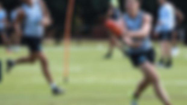 Carlton SuperCoach Season Preview