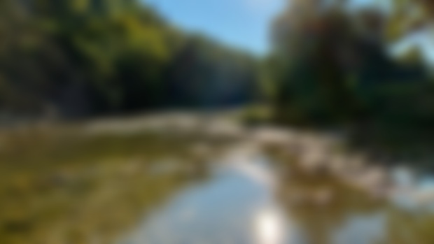 Painting reference