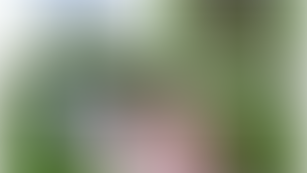 Slime ambush [HD/Download]