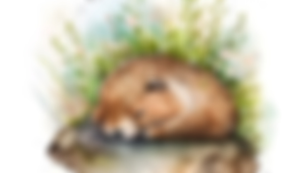 Imbolc & The Pagan Roots of Groundhog Day