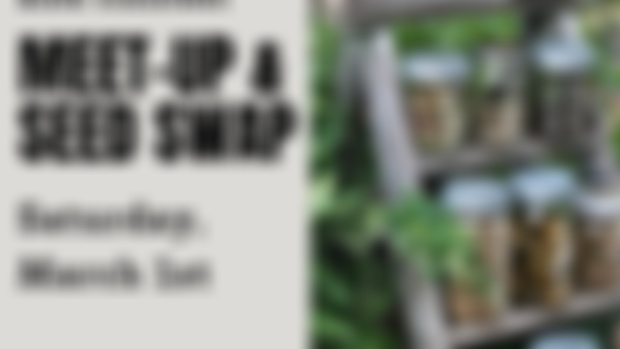 Meet-Up & Seed Swap on March 1st