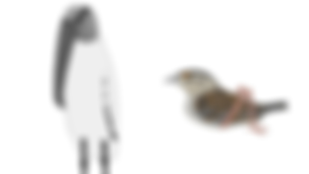 Wood Stork and Grasshopper Sparrow (guidebook)