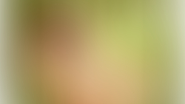 CORNER BOX! (27K): LORD OF THE JUNGLE!