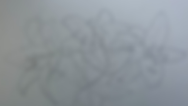 Image Bank: Delicate White Lily, Pencil Outline + Reference Photos