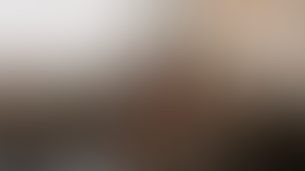 #172 - Lavande (19 photos)