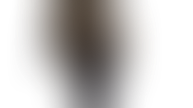 Nina model update