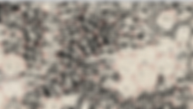 Cartography Collection - January 2025