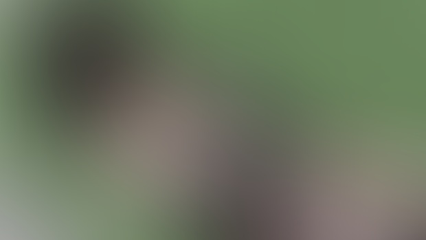 Testing Out a New Game - Video Preview (WIP)