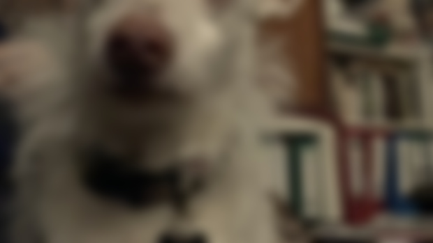 Zoom Chats - Tomorrow!