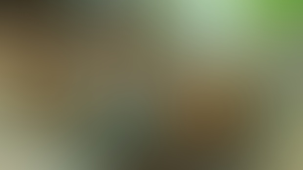 January Wallpapers