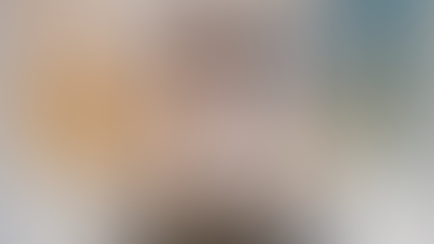 1月軍糧已全部派發完畢!!!!