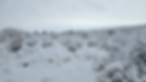 The winter of our discontent